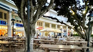 Un espace de restauration en plein air, avec des tables et des bancs en bois, entouré d'arbres et de bâtiments dotés de devantures de magasins.