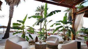 A beachside lounge with wicker furniture and large tropical plants. - Oricon Coast (Orikum)
