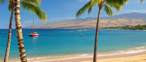 Condo (2 Bedrooms) | Vista frontal de la propiedad