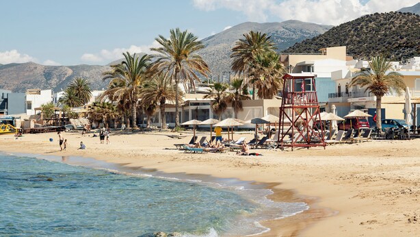 A beach with palm trees, beach chairs, umbrellas, and a lifeguard tower.