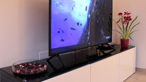 Un téléviseur à écran plat posé sur un support noir, un saladier en verre contenant des objets de couleur foncée, et une plante en pot rouge avec de longues feuilles vertes.
