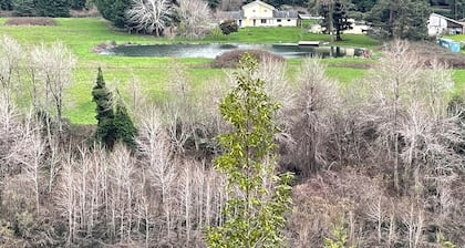 Comfortable home near the Avenue of the Giants with large pond on the Eel River.