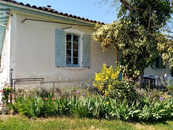 Extérieur