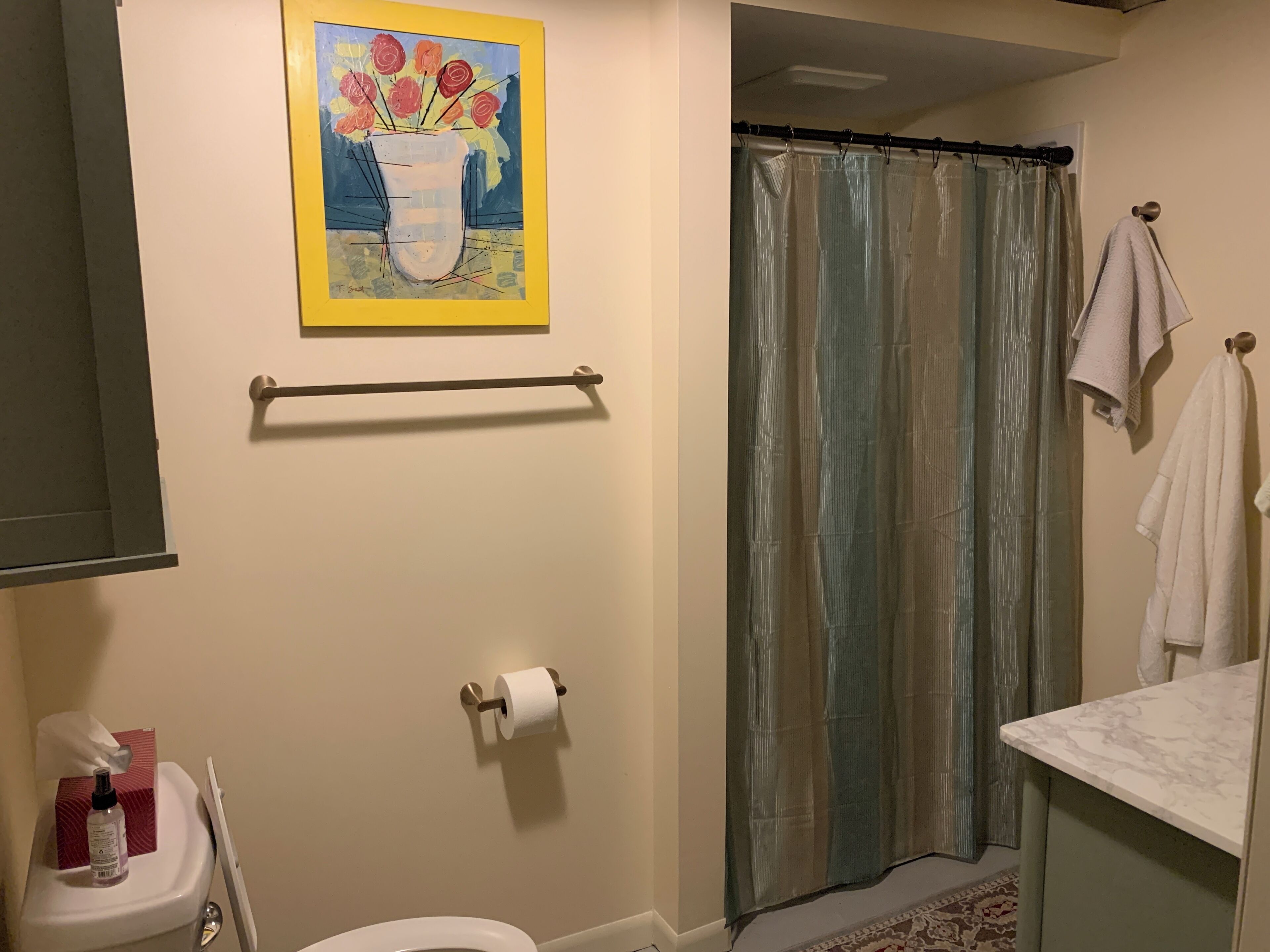 A bathroom with a toilet, a towel rack, a shower curtain, and a framed painting on the wall.