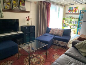Smart TV, DVD player, books, video library