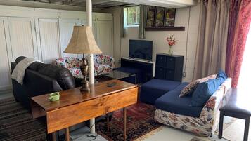 TV connectée, lecteur de DVD, livres