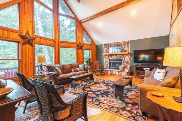 Smart TV, fireplace, DVD player, books