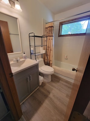 Shower, hair dryer, soap