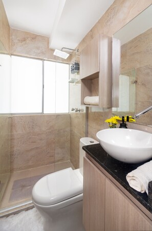 Douche, séchoir à cheveux, serviettes fournies, savon