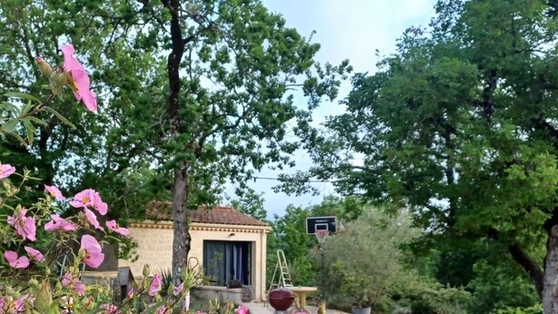 Un bâtiment doté d’un terrain de basket-ball, entouré d’une végétation luxuriante et de fleurs roses.