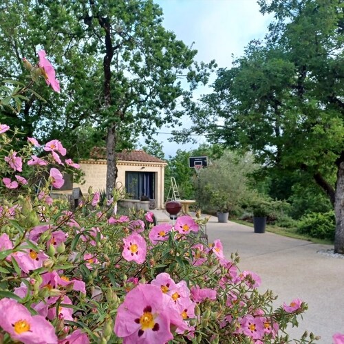 Domaine Anges et Oiseaux 2 à 10 personnes
