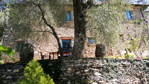 Un bâtiment en pierre à l’aspect rustique, un banc en bois et un grand arbre à l’avant.