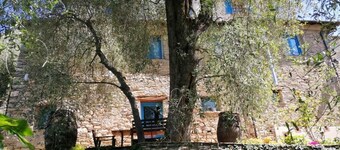 Beautiful and quiet country house for 9 people in the Ligurian olive groves