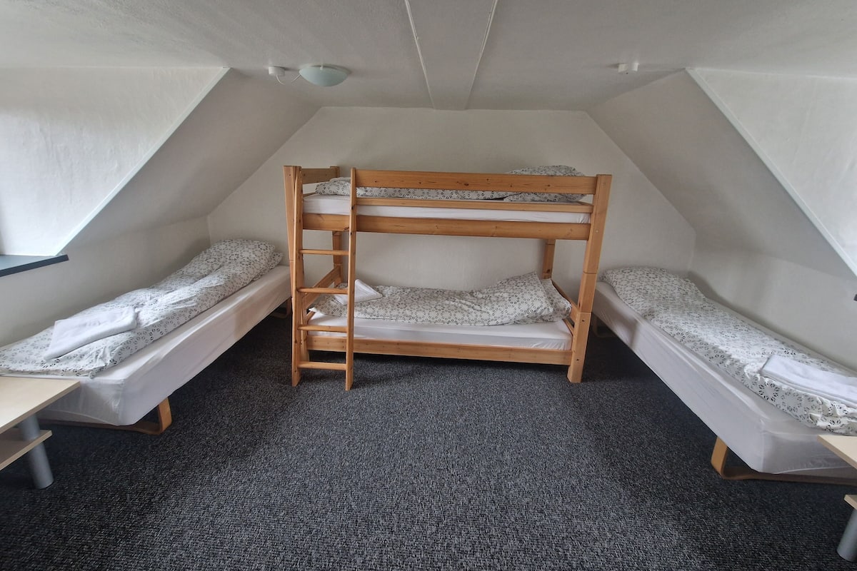 A dormitory room with bunk beds, a desk, and a carpeted floor.