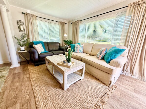 Smart TV, fireplace, DVD player, books