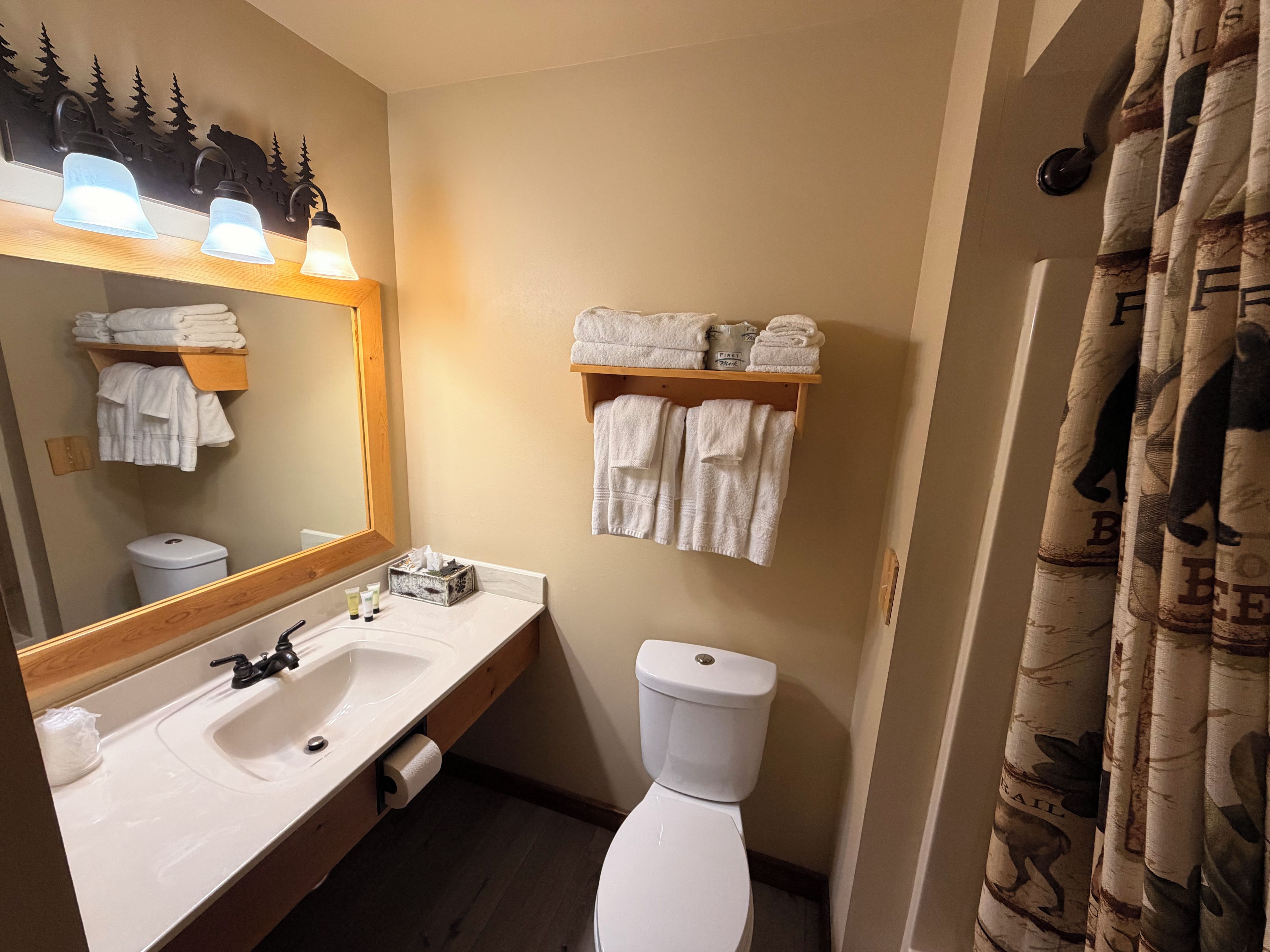 Ein Badezimmer mit Waschbecken, Spiegel, Handtuchhalter, Toilette und Duschvorhang.