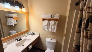 Ein Badezimmer mit Waschbecken, Spiegel, Handtuchhalter, Toilette und Duschvorhang.