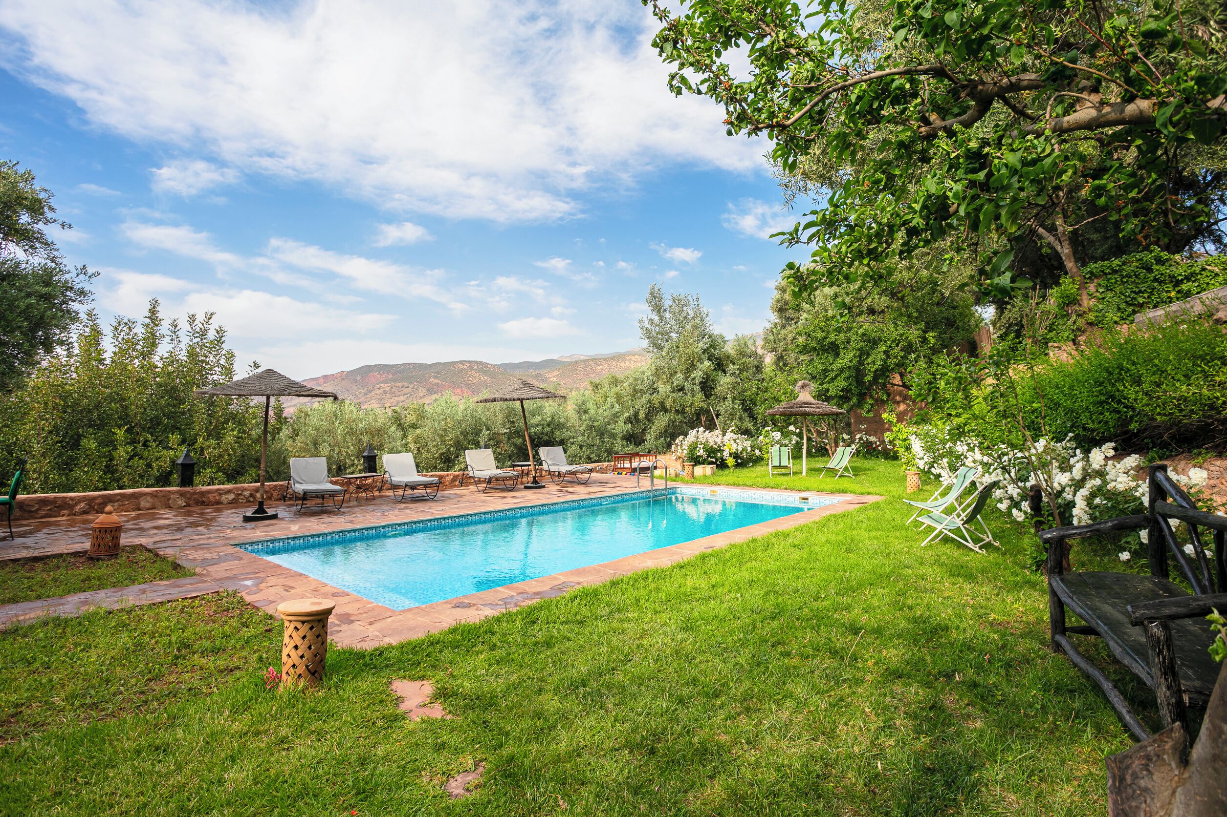 Un jardin avec une piscine, des chaises longues et un kiosque.