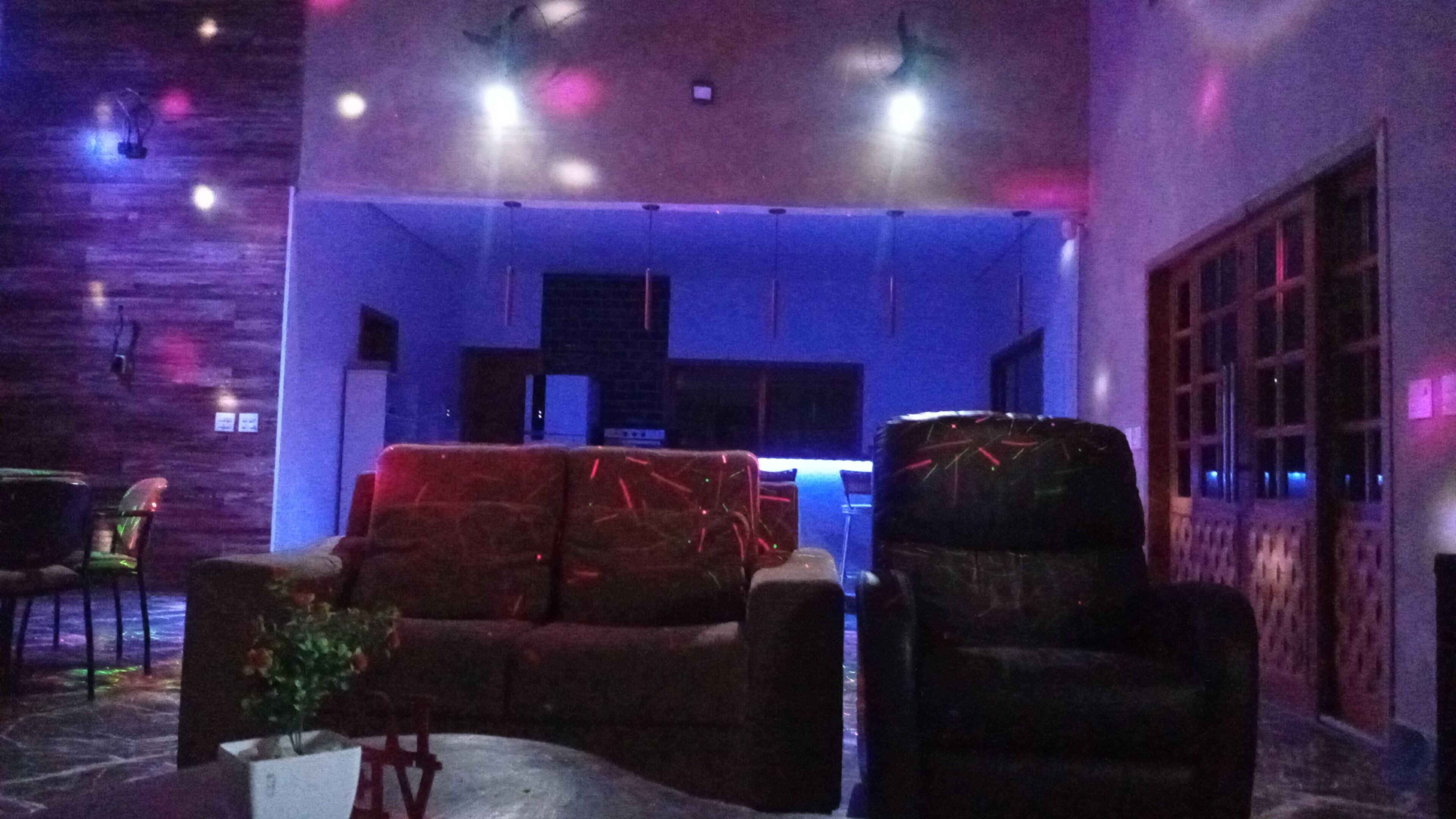 A room with a sofa, a chair, a small table, and a potted plant.