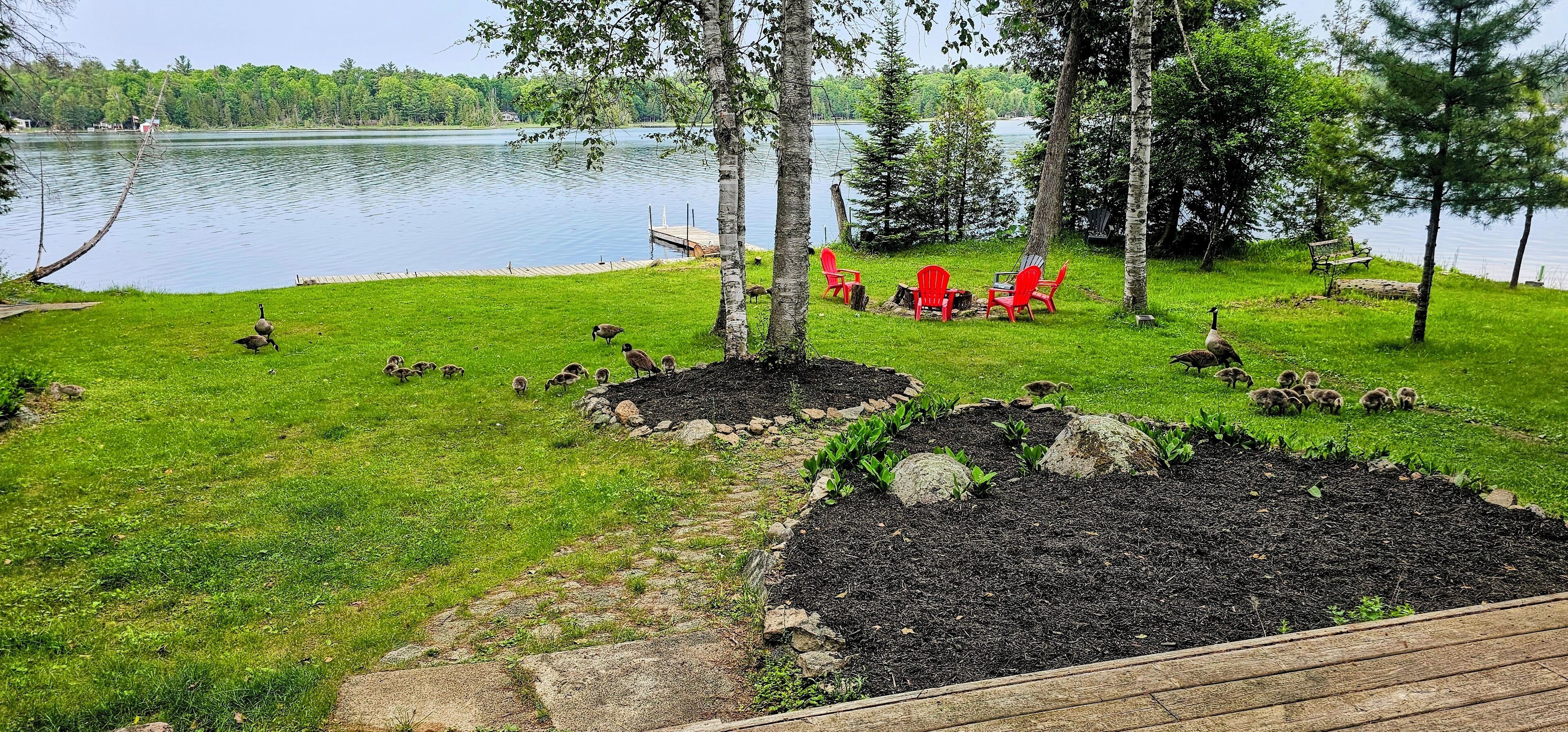 Enceinte de l’hébergement