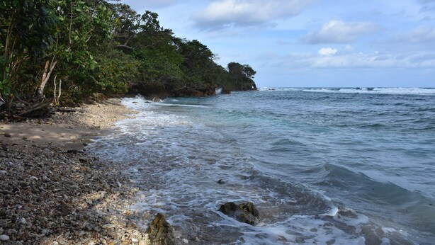 A beach with pebbles, waves, and dense green foliage.