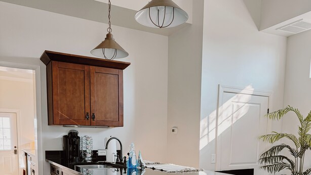 Une cuisine moderne avec des meubles en bois, un îlot central en acier inoxydable, des luminaires suspendus et une plante en pot.