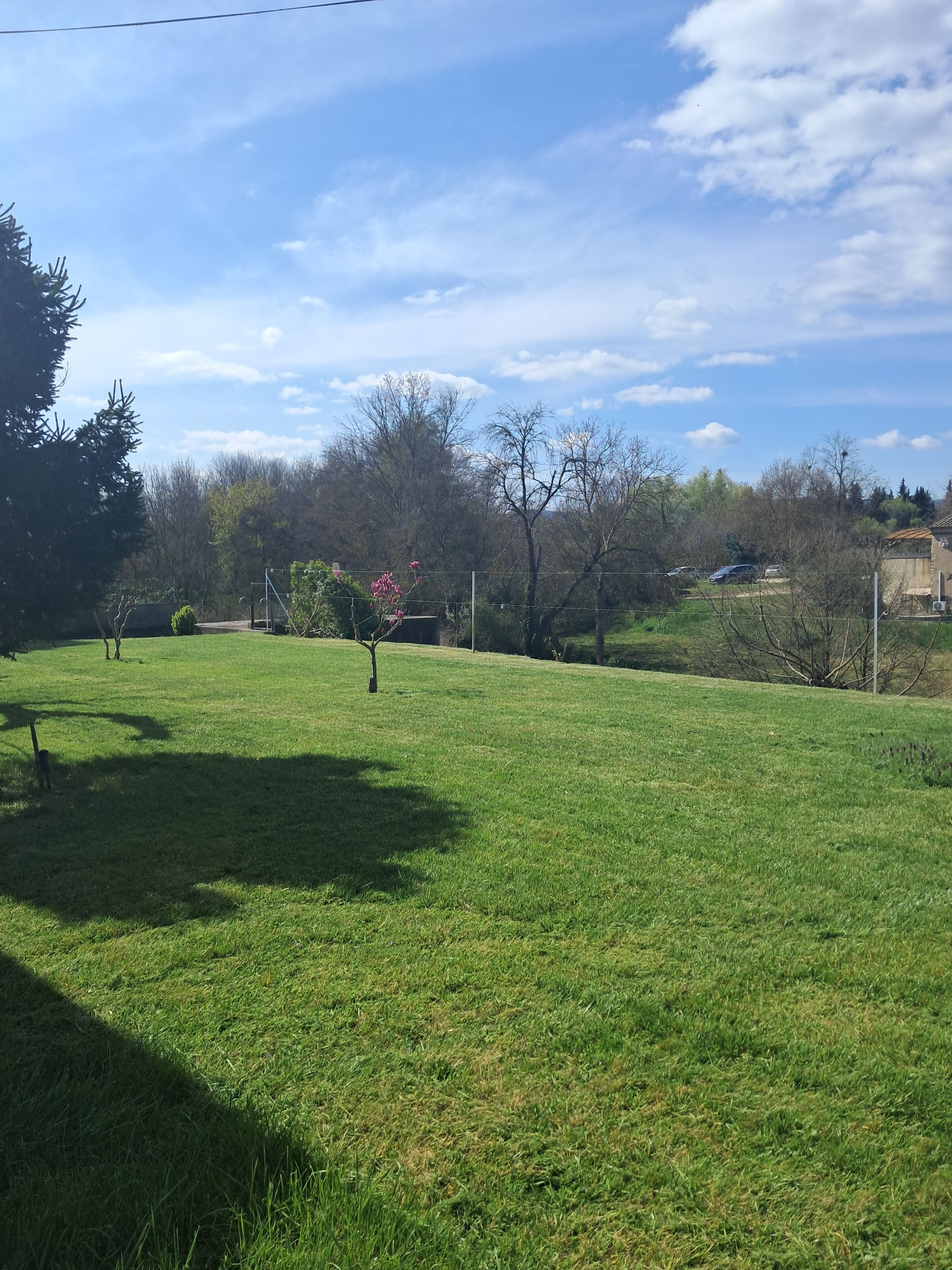 Un champ herbeux, avec une clôture, des arbres et un ciel dégagé.