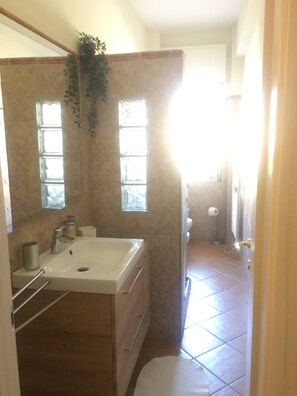 Hair dryer, bidet, towels, toilet paper