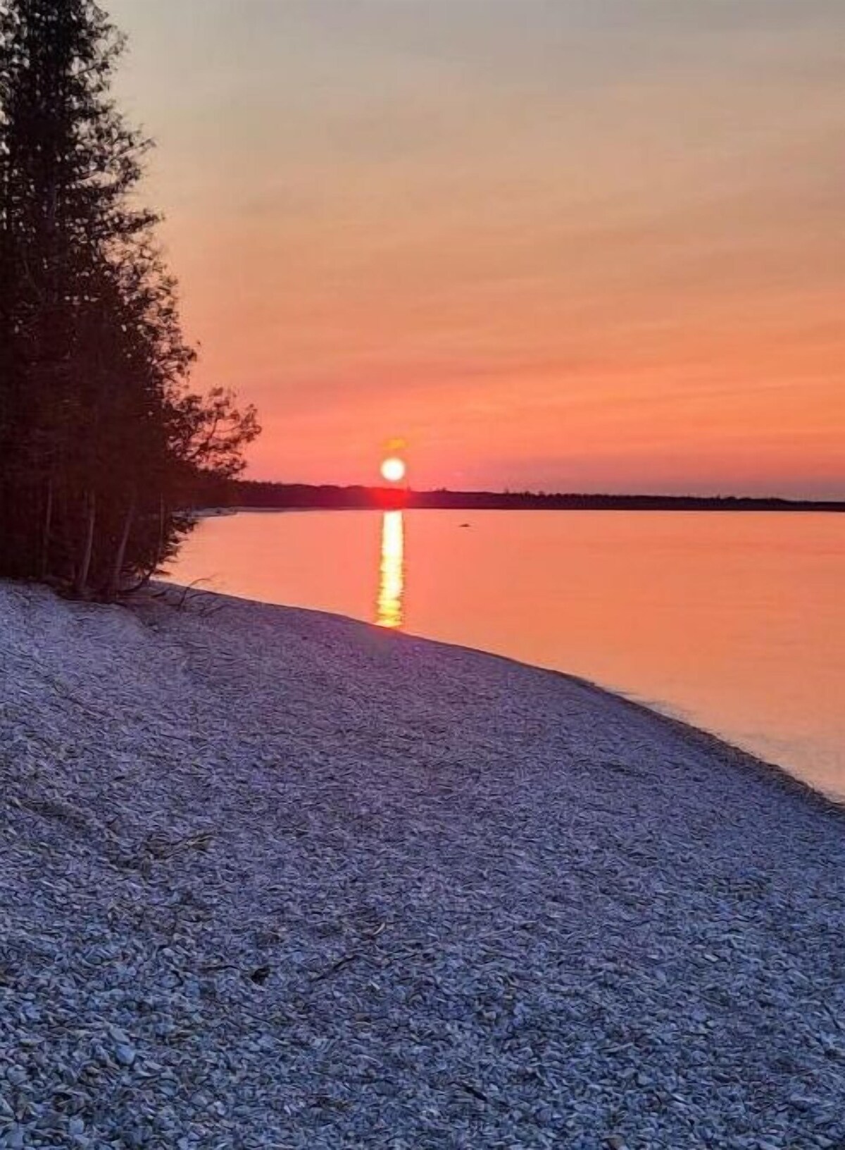 Værtens profilbillede