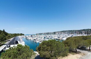 Una marina con numerosos barcos amarrados, rodeada de árboles y un cielo despejado.