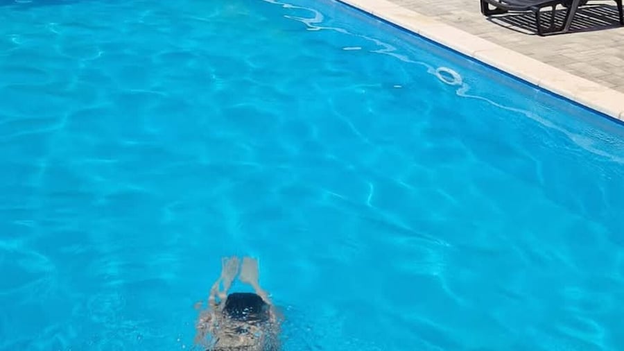 ホリデー ホーム ドゥゴ セロ M&A