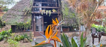 Hospedaria Noite Lunar - Praia do Rosa - SC