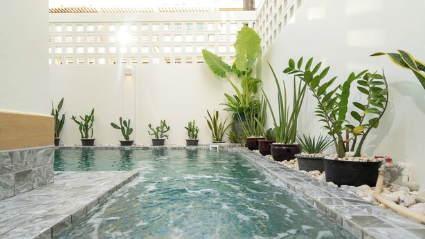 Una piscina con borde de azulejos, rodeada de diferentes macetas con plantas.