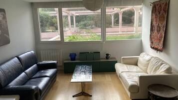 Smart TV, video games, computer monitors