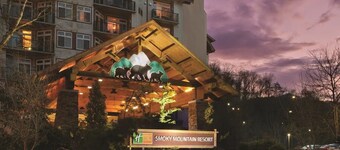 Adventure Awaits at Our 1BR Gatlinburg Getaway – Walk, Splash, Explore!