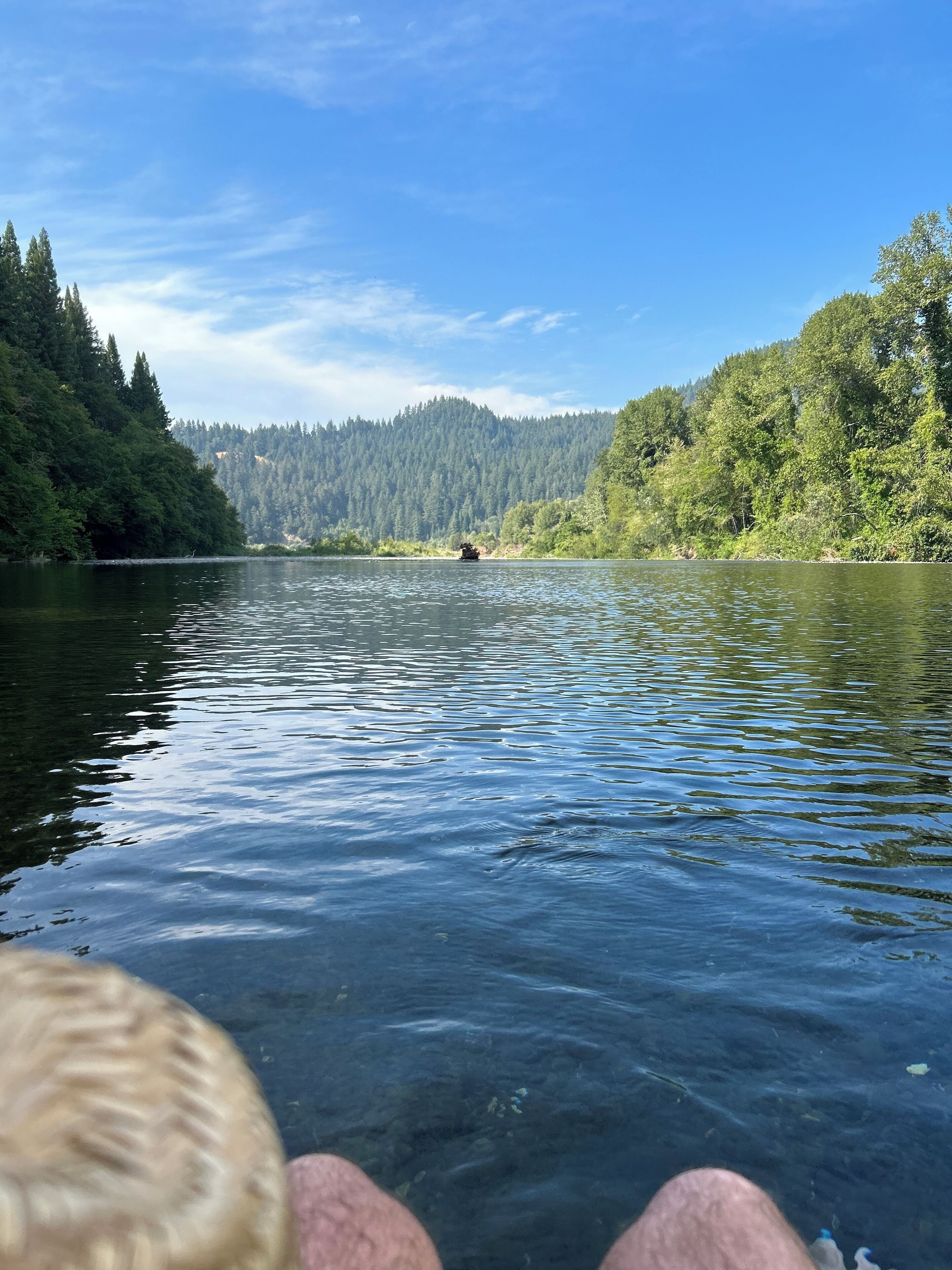 Ein Fluss mit einem Boot in der Ferne, umgeben von dichtem Wald und blauem Himmel.