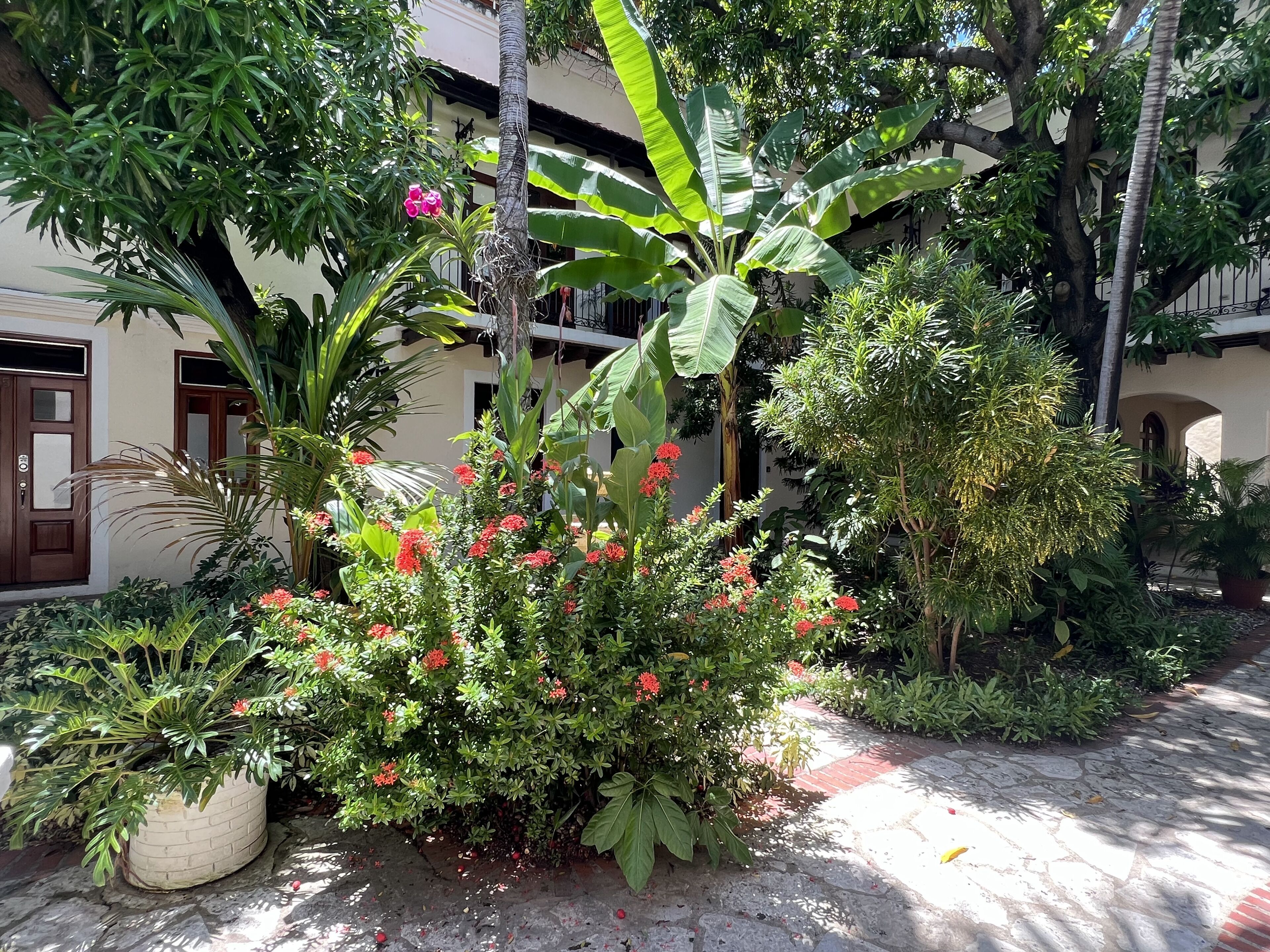Une cour intérieure agrémentée de diverses plantes et un bâtiment doté d’un toit en tuiles.