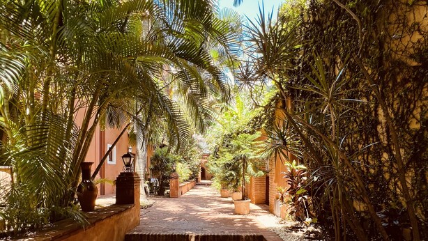 A brick pathway flanked by lush greenery and a building with a tiled roof. - Paseo Colonial - Sabbatical 1 (Santo Domingo)