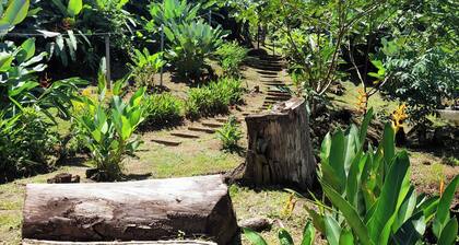 Cozy mini apartment in charming Agujitas Drake Bay with AC, WiFi