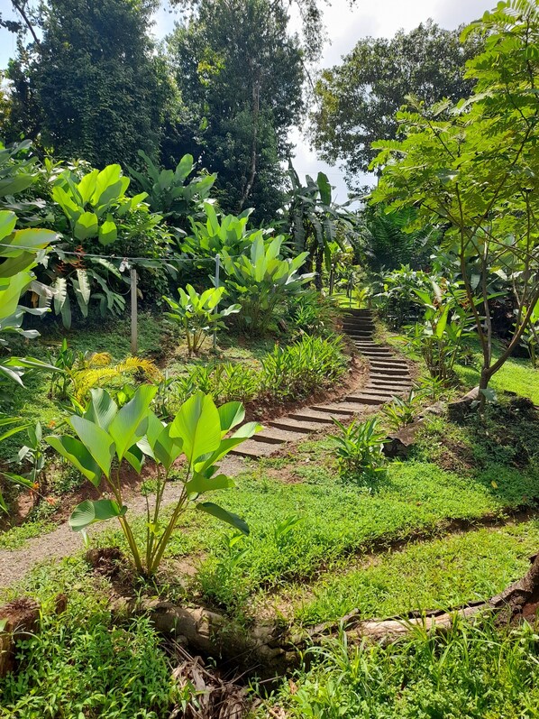 المنطقة المحيطة بالمنشأة