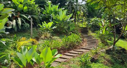 Cozy mini apartment in charming Agujitas Drake Bay with AC, WiFi