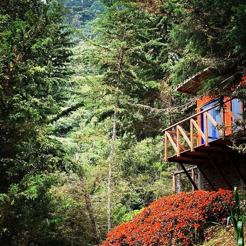 Charming Cabin in beautiful Floridablanca with mountain views and WiFi