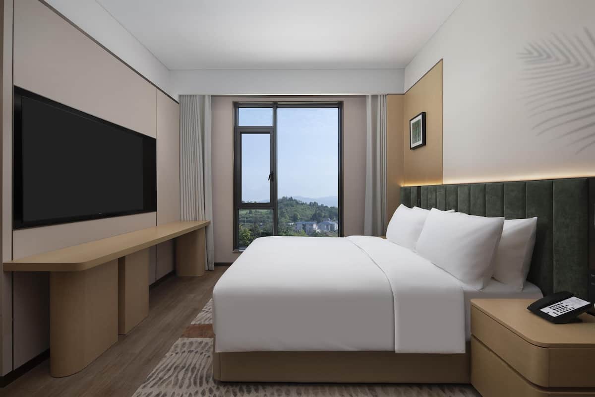 Una habitación de hotel moderna con una cama grande, un televisor de pantalla plana, una mesita de noche y vistas al exterior.