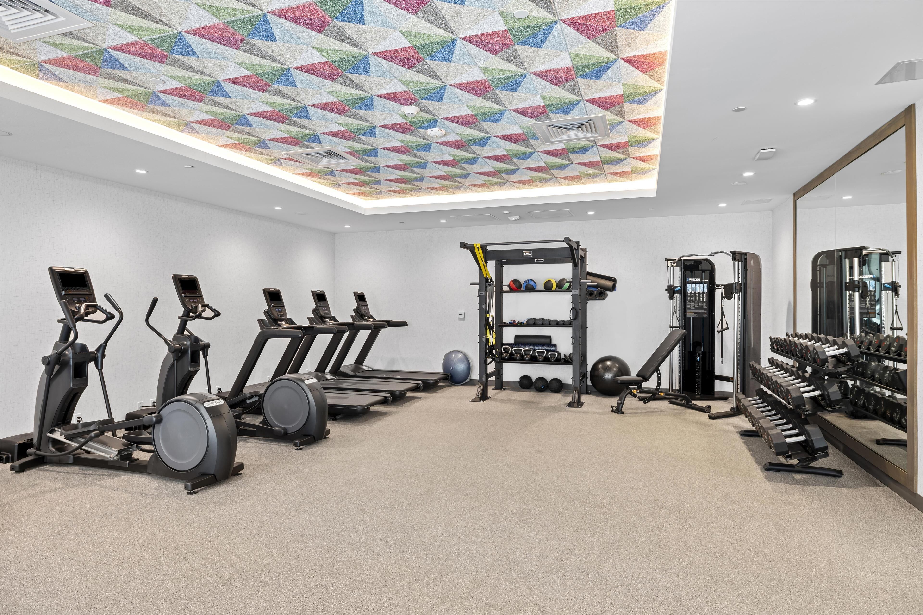Un gimnasio con cintas de correr, elípticas, una jaula para sentadillas y pesas libres.