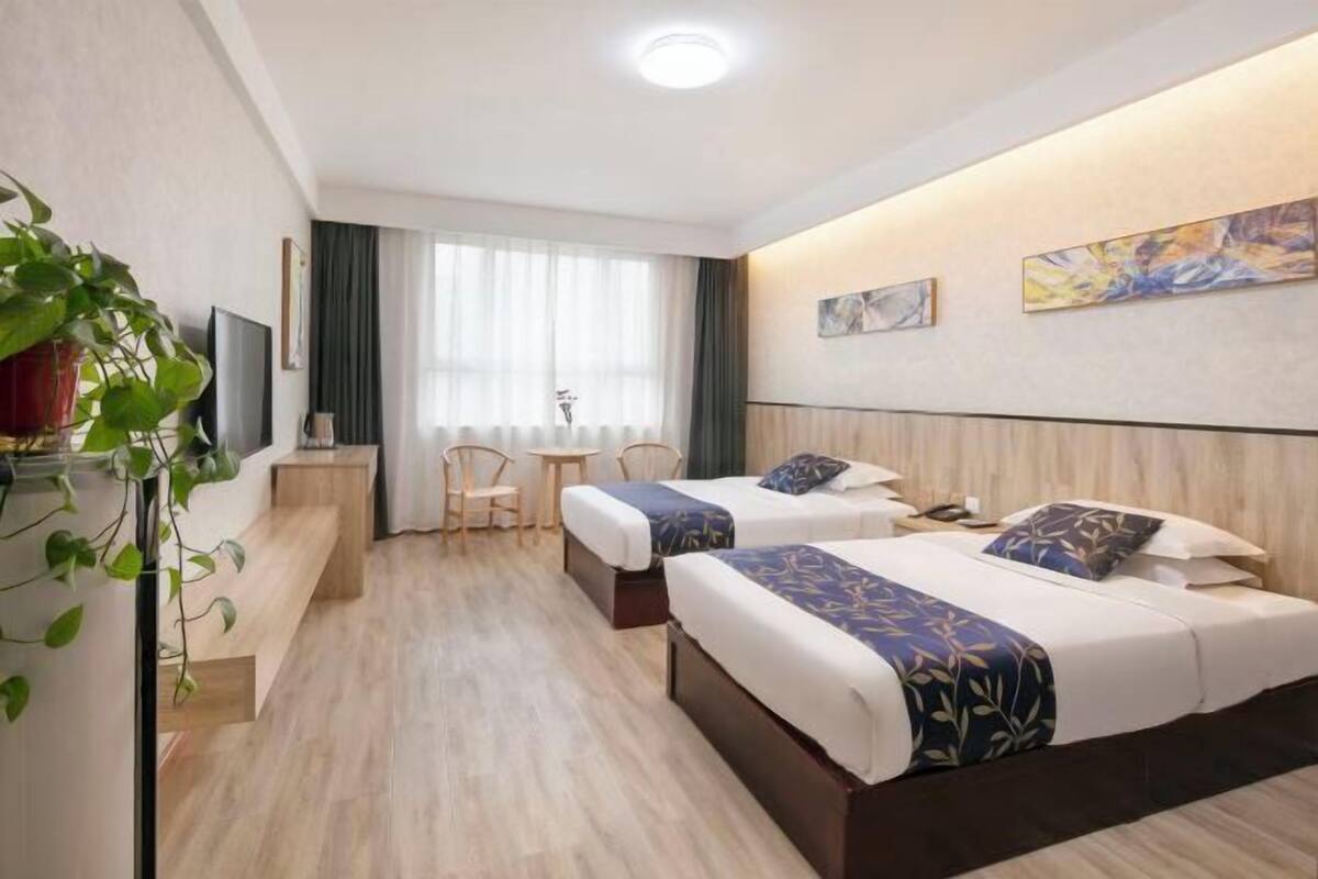 A hotel room with two beds, a desk, a chair, a TV, and a plant.