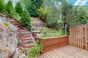 Área da propriedade