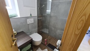 Ducha, secador de pelo, toallas y papel higiénico