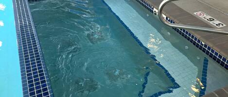 A swimming pool with blue and white tiled edges, a metal ladder, and a tiled deck area.