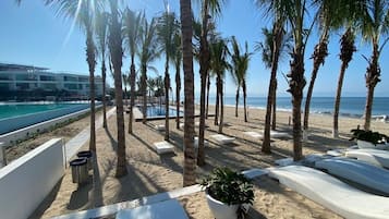 Vườn