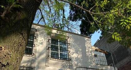 Estudio en Coyoacán - El Balcón de Buda